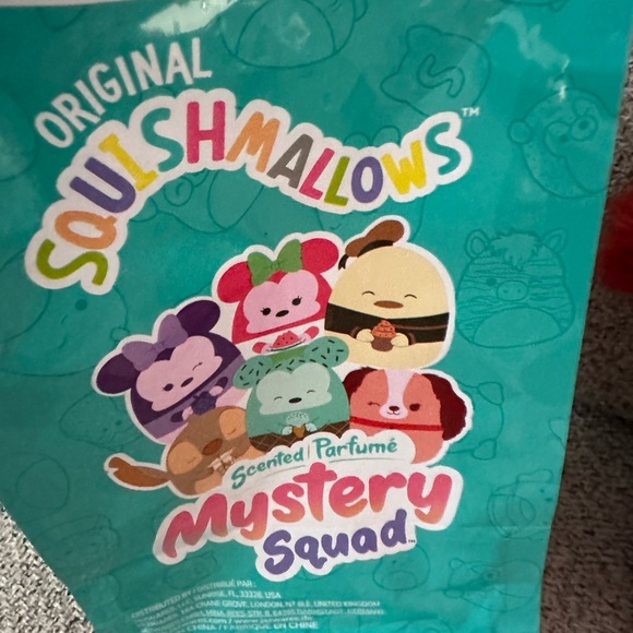 New Mystery scented 5" Lady squishmallow - Picture 6 of 8
